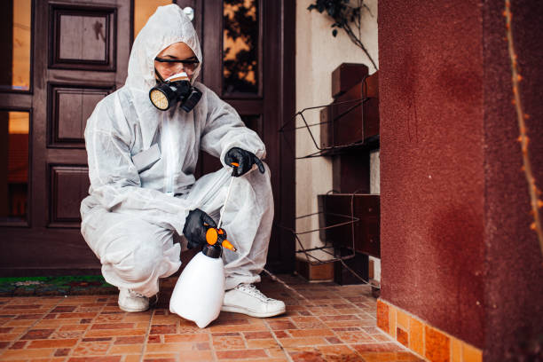 Reliable Cockroach Control contractor in Crisfield, MD by Nex Pest Control